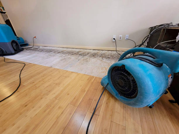 Professional Water Damage Repair technician working in Lawndale, NC